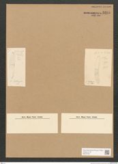 Diatomeae indet. Zeichnungen Sammlung Grunow Nr. 3295 (NHMW-BOT-W0370783)